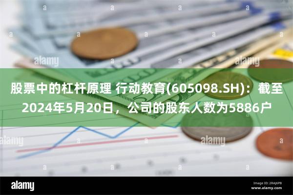 股票中的杠杆原理 行动教育(605098.SH)：截至2024年5月20日，公司的股东人数为5886户