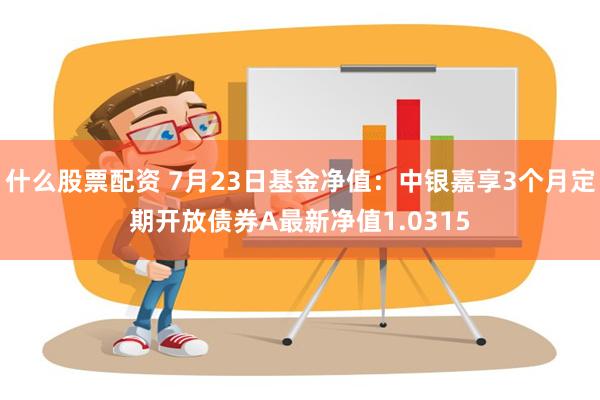 什么股票配资 7月23日基金净值：中银嘉享3个月定期开放债券A最新净值1.0315