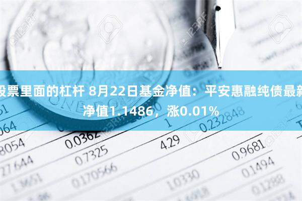 股票里面的杠杆 8月22日基金净值：平安惠融纯债最新净值1.1486，涨0.01%