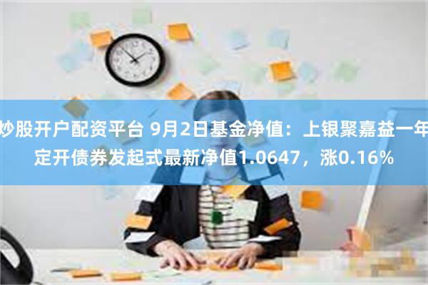 炒股开户配资平台 9月2日基金净值：上银聚嘉益一年定开债券发起式最新净值1.0647，涨0.16%