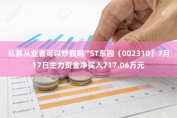 私募从业者可以炒股吗 *ST东园（002310）7月17日主力资金净买入717.06万元