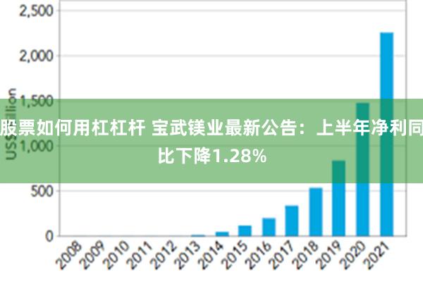 股票如何用杠杠杆 宝武镁业最新公告：上半年净利同比下降1.28%