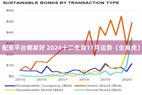 配资平台哪家好 2024十二生肖11月运势（生肖虎）