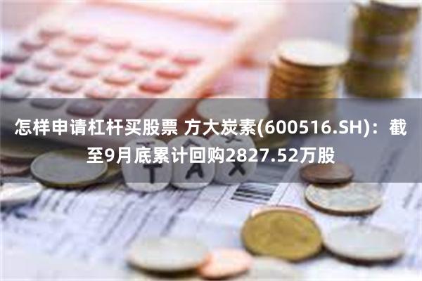 怎样申请杠杆买股票 方大炭素(600516.SH)：截至9月底累计回购2827.52万股