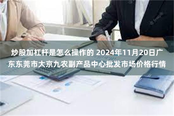 炒股加杠杆是怎么操作的 2024年11月20日广东东莞市大京九农副产品中心批发市场价格行情