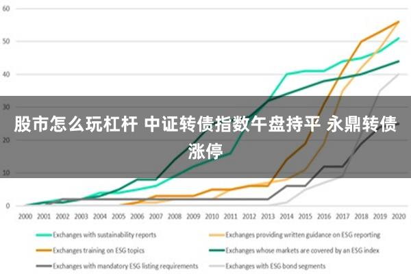 股市怎么玩杠杆 中证转债指数午盘持平 永鼎转债涨停