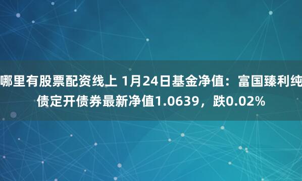 哪里有股票配资线上 1月24日基金净值：富国臻利纯债定开债券最新净值1.0639，跌0.02%