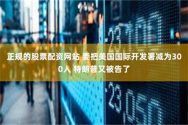 正规的股票配资网站 要把美国国际开发署减为300人 特朗普又被告了