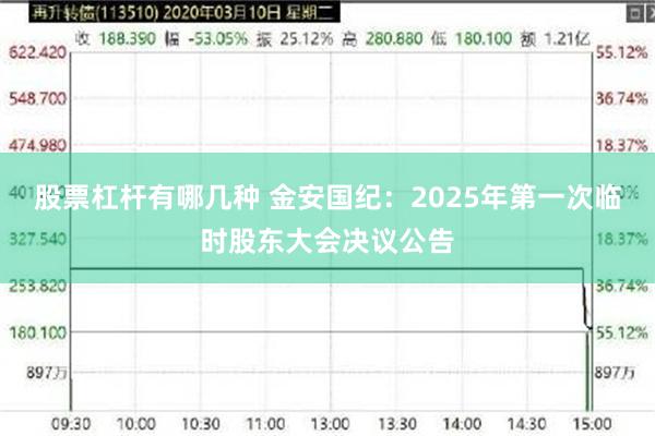 股票杠杆有哪几种 金安国纪：2025年第一次临时股东大会决议公告